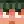 agununezm