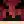 foxy12434