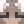 tincus
