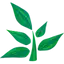 Pimbu Comunidad de Minecraft - Minecraft Server Icon