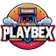 Ícono del servidor Playbex Network